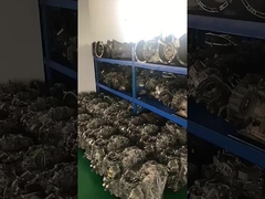 Chuỗi truyền tự động Đối với các mô hình khác nhau