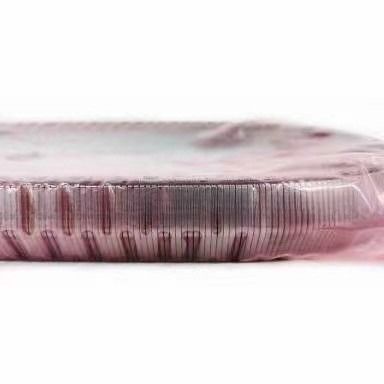 2KG JF017E RE0F10D Chuỗi dây chuyền hộp số cho TEANA X Trail QASHQAI 901074 901089 901096